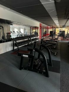 Парта Скотта Insight Fitness TN20