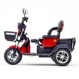 Трицикл GreenCamel Фродо X7 PRO (60V 800W R10) дифференциал