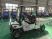 Гольфкар GreenCamel Сонора A2C New (2+Cargo 2500W 130/90-10' литые) пониженная