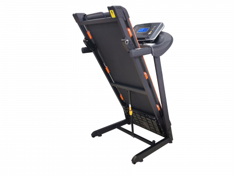Беговая дорожка электрическая Royal Fitness RF-6
